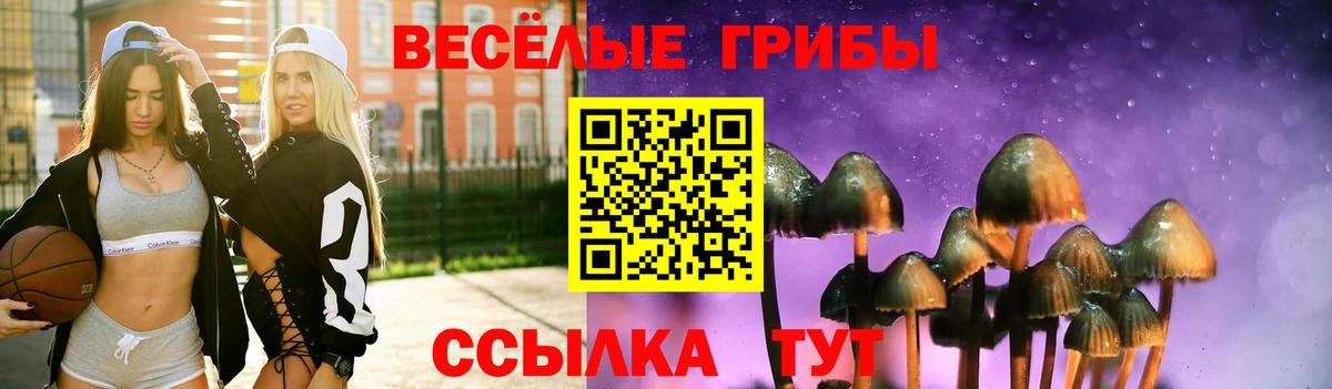 Псилоцибиновые грибы Psilocybine cubensis Белореченск